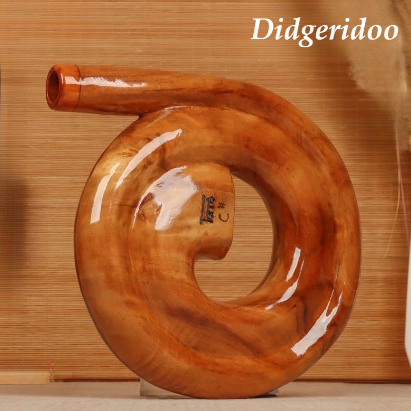 Musical Instrument Didgeridoo - Didgeridoo a Spirale in Legno, Portatile,