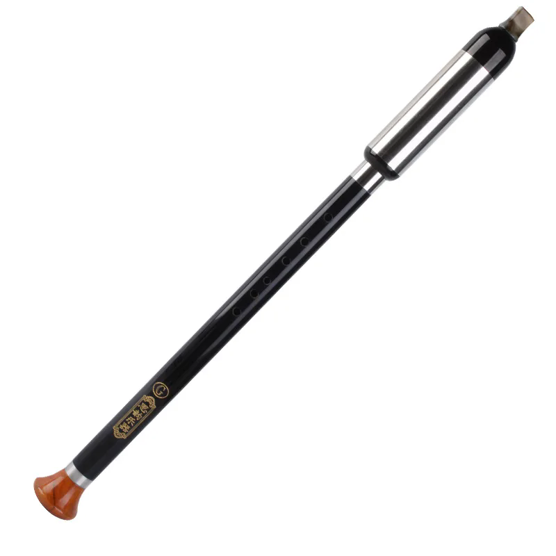Strumento musicale cinese per  - Bagpipe Practice Chanter recensione e prezzo