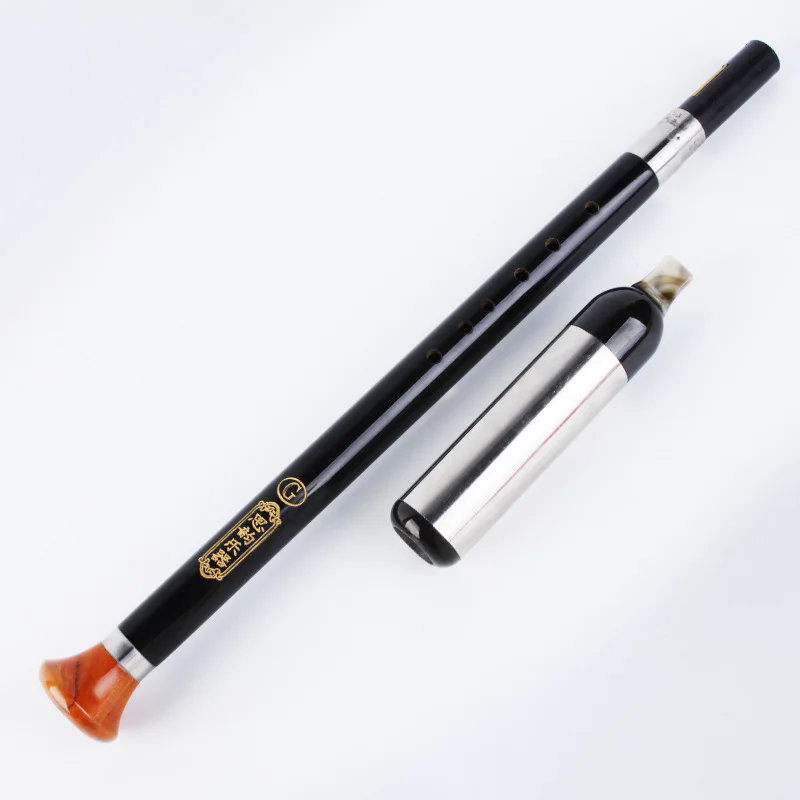 Strumento musicale cinese per  - Bagpipe Practice Chanter recensione e prezzo