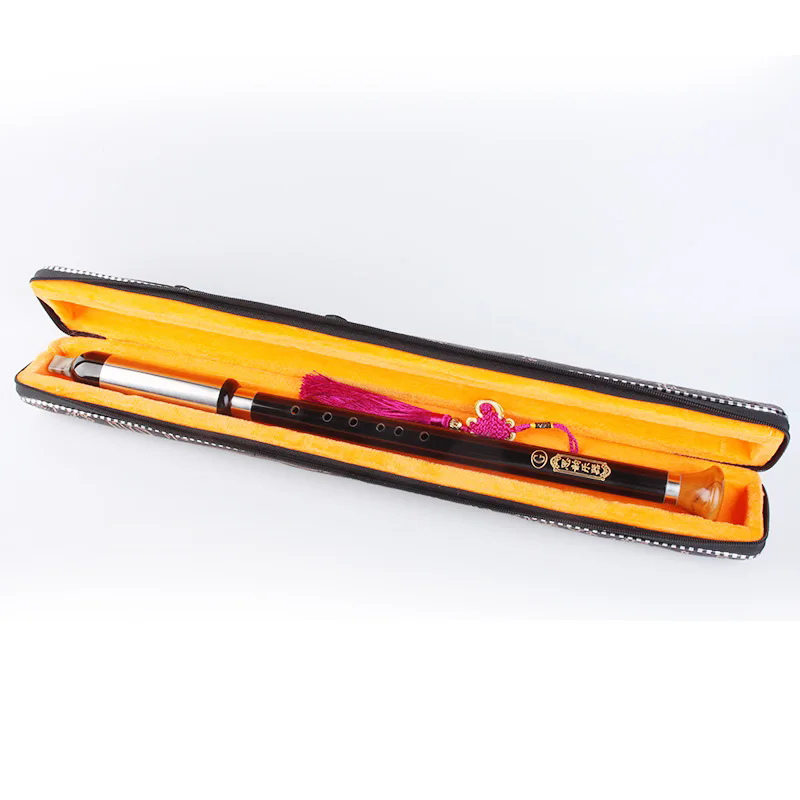 Strumento musicale cinese per  - Bagpipe Practice Chanter recensione e prezzo