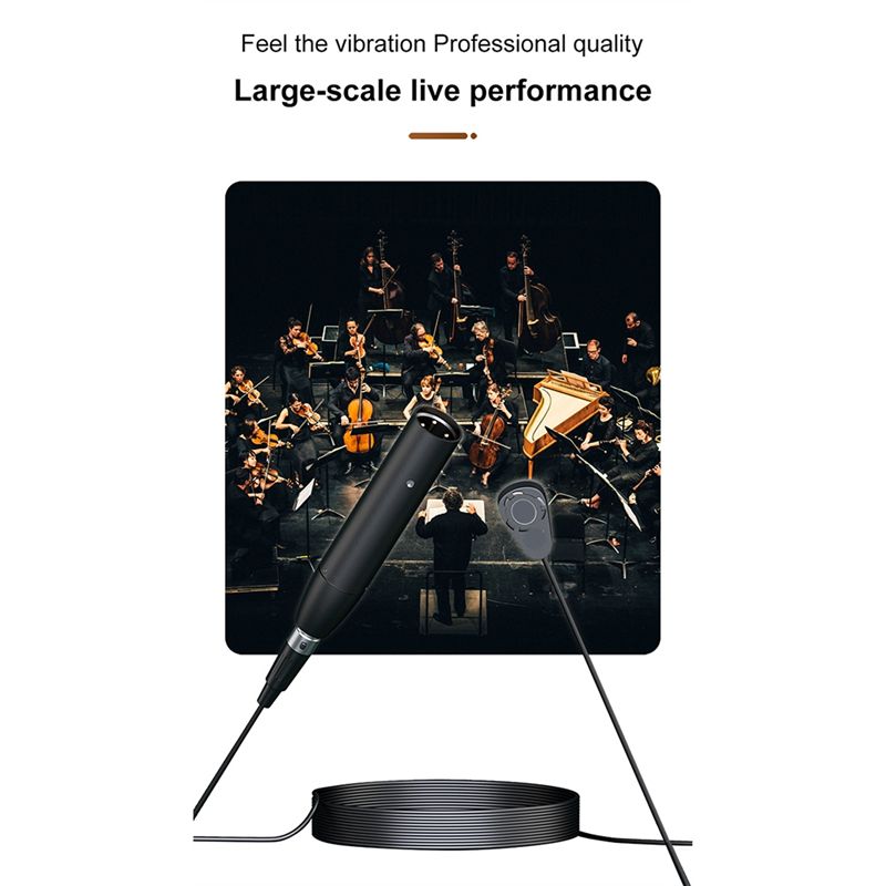 【A15I】 Microfono cablato per v - Musical Instrument With A recensione e prezzo