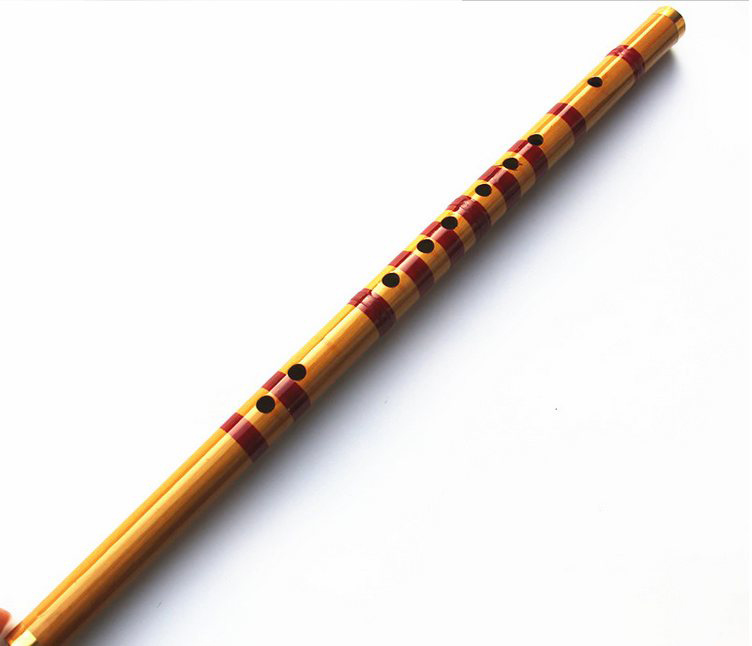 I bambini imparano bene proget - Musical Instrument Piccolo recensione e prezzo