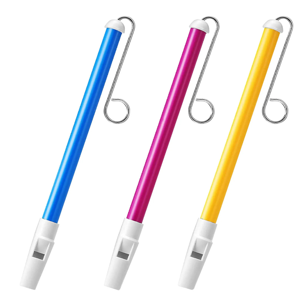 1PC strumento musicale diaposi - Musical Instrument Piccolo recensione e prezzo